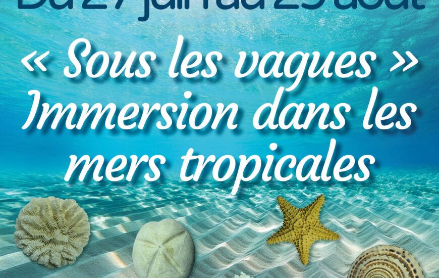 Exposition « Sous les vagues » - Immersion dans les mers tropicales