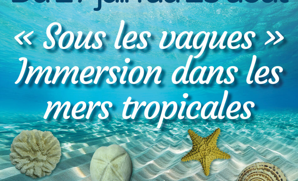 Exposition « Sous les vagues » - Immersion dans les mers tropicales