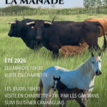 Les visites à la manade Fernay