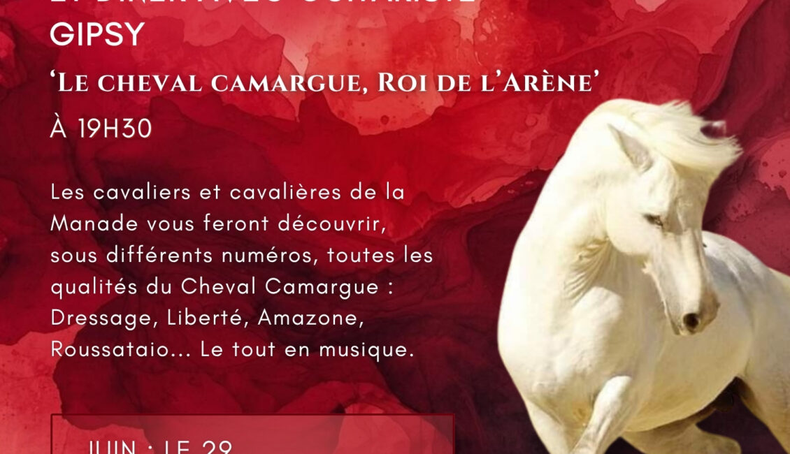 Le Cheval Camargue Roi de l’Arène ! à la manade Fernay
