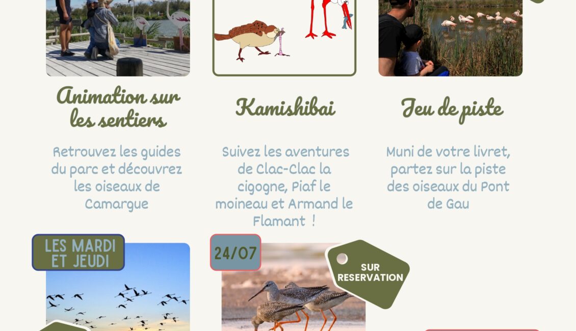 Parc Ornithologique – Programme des animations d'été