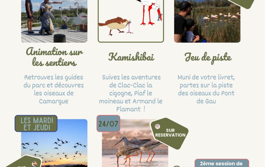 Parc Ornithologique - Programme des animations d'été