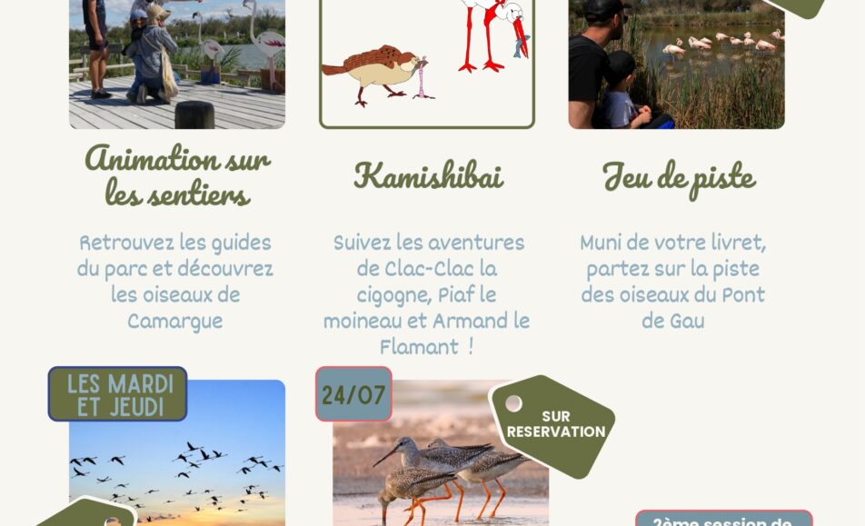 Parc Ornithologique – Programme des animations d'été