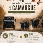 Safari Camargue avec découverte d'une manade