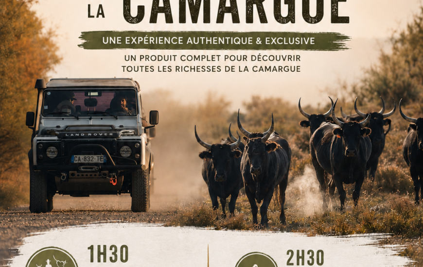 Safari Camargue avec découverte d'une manade