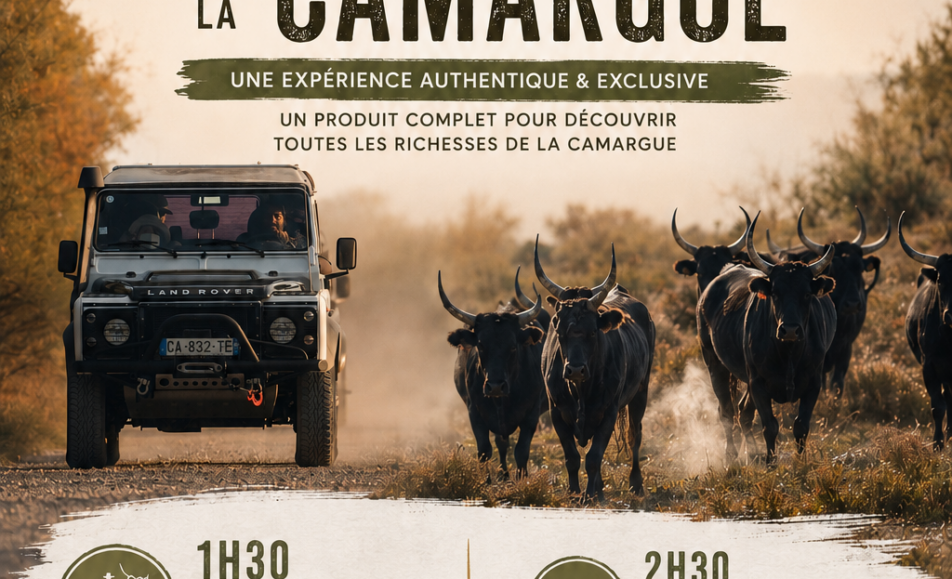 Safari Camargue avec découverte d'une manade