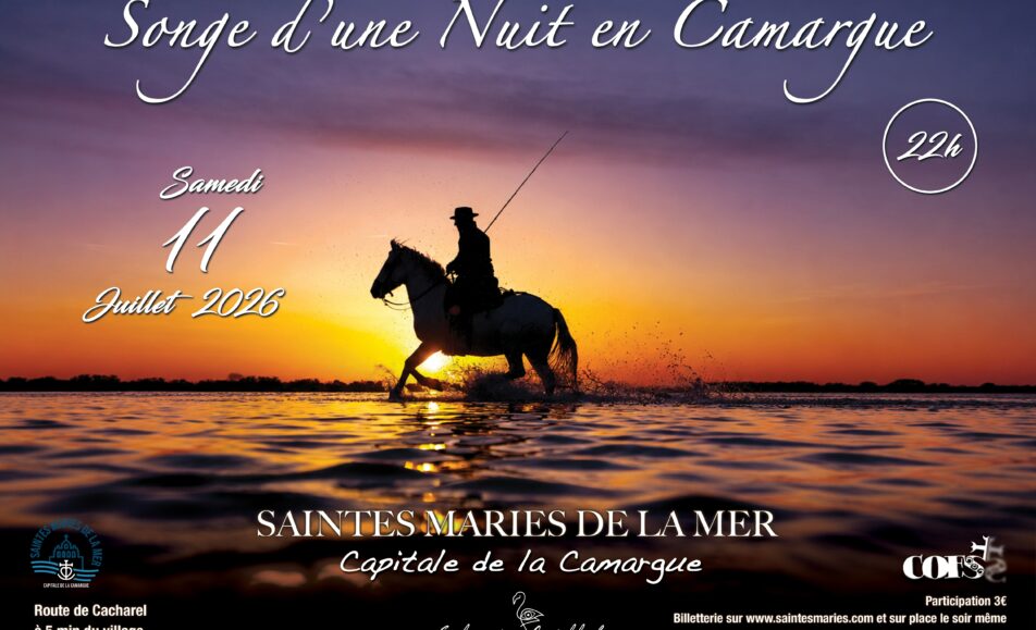 Songe d'une nuit en Camargue