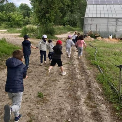 Visite en famille : La petite ferme pédagogique