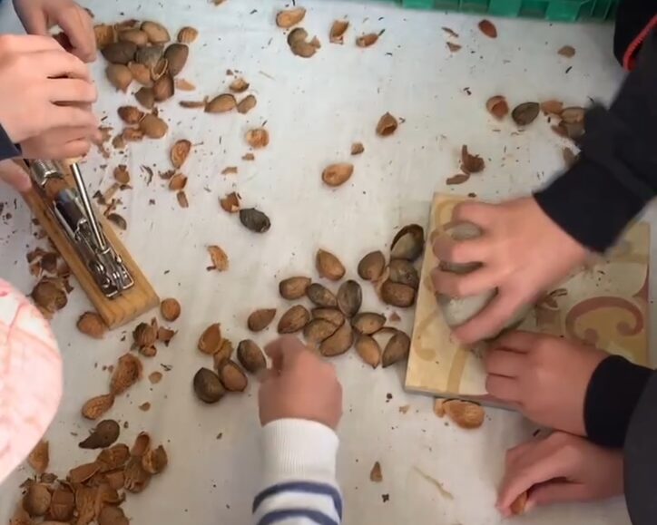 Visite gourmande : Les amandes des Alpilles