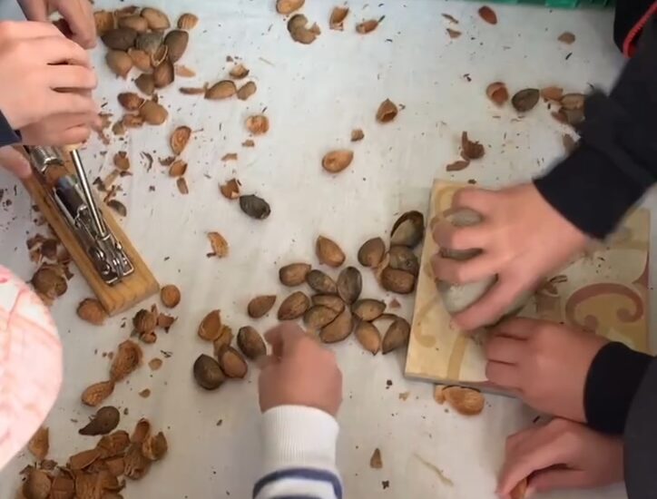 Visite gourmande : Les amandes des Alpilles
