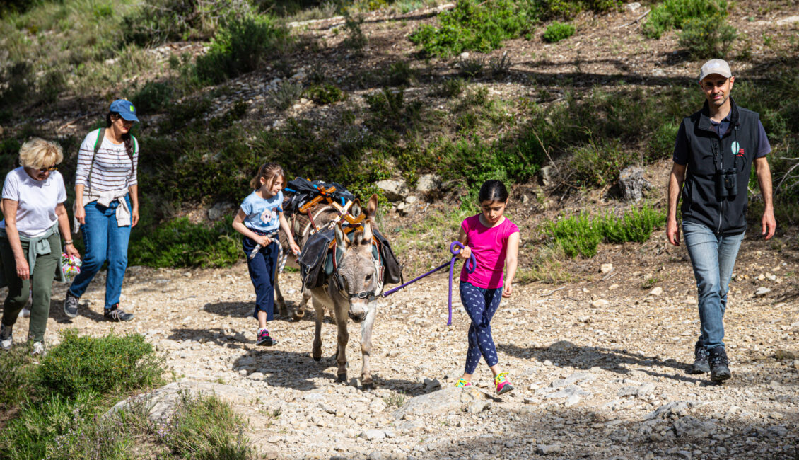 Balade avec les P'tits ânes : Le sentier de la pierre au pas des P'tits ânes