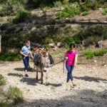 Balade avec les P'tits ânes : Le sentier de la pierre au pas des P'tits ânes