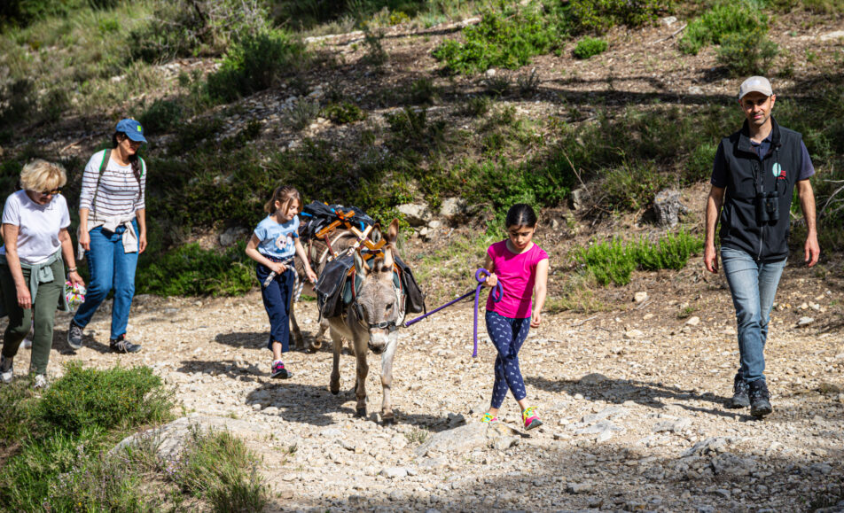 Balade avec les P'tits ânes : Le sentier de la pierre au pas des P'tits ânes