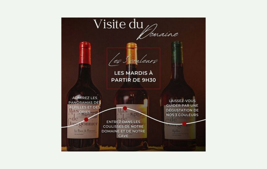 Visite du domaine viticole Mas de Gourgonnier - Les 3 couleurs