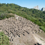 Balade en compagnie des petits ânes : Far la routo