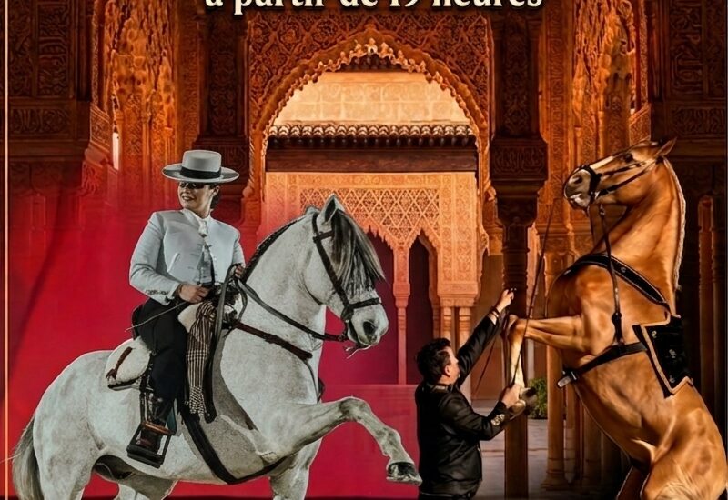 Spectacle équestre et soirée espagnole - Domaine Equestre St Remy