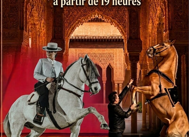 Spectacle équestre et soirée espagnole - Domaine Equestre St Remy