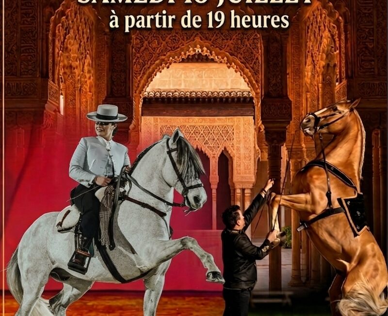 Spectacle équestre et soirée espagnole - Domaine Equestre St Remy