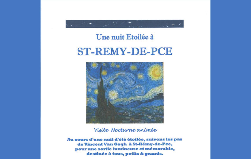 Excursion "Une nuit ĂtoilĂ©e" Ă Saint-RĂ©my-de-Provence