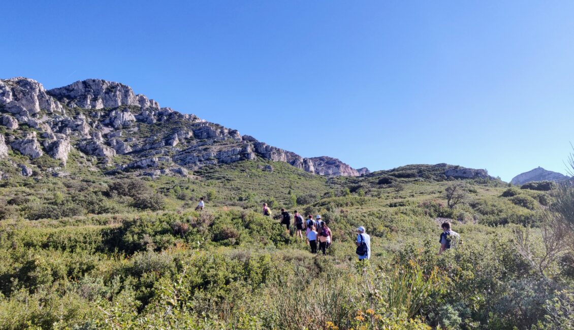 Sortie nature : Paysage des Alpilles qui es-tu ? ?
