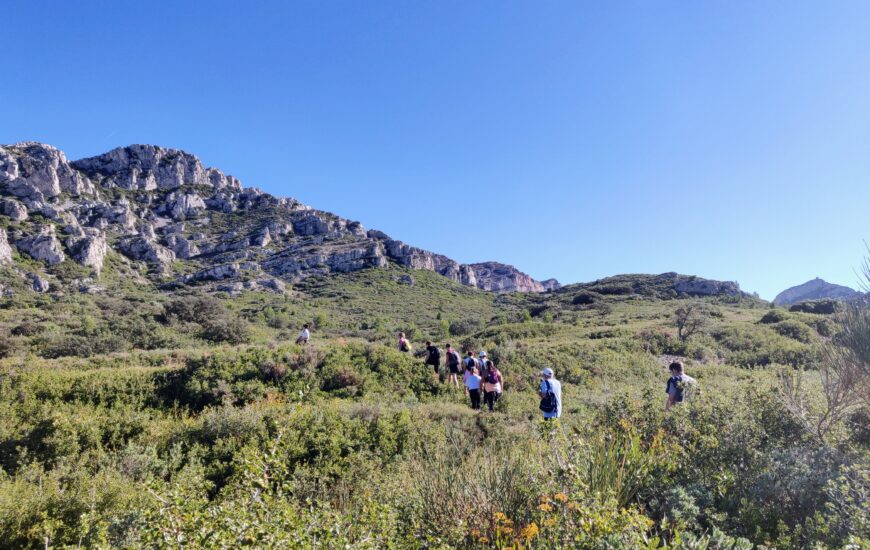 Sortie nature : Paysage des Alpilles qui es-tu ? ?