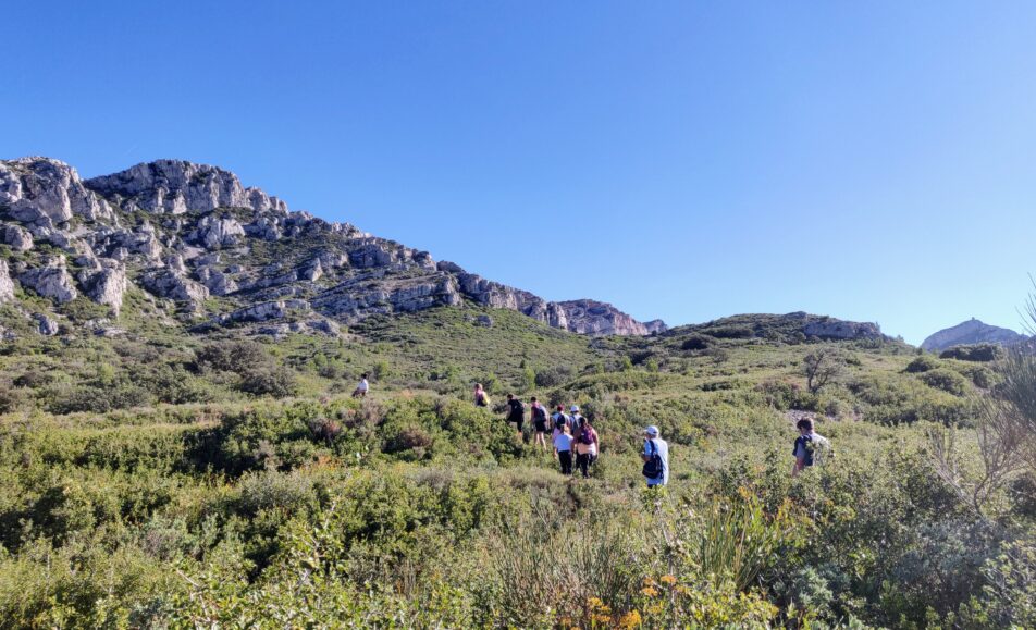 Sortie nature : Paysage des Alpilles qui es-tu ? ?