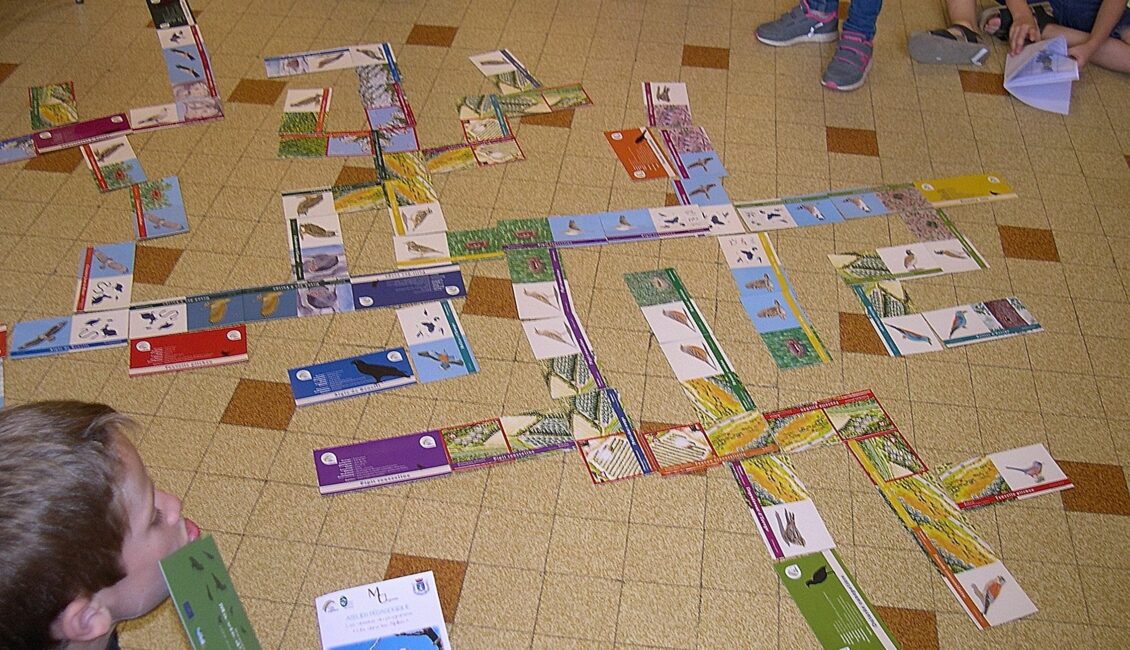 Atelier enfants : Les oiseaux des Alpilles