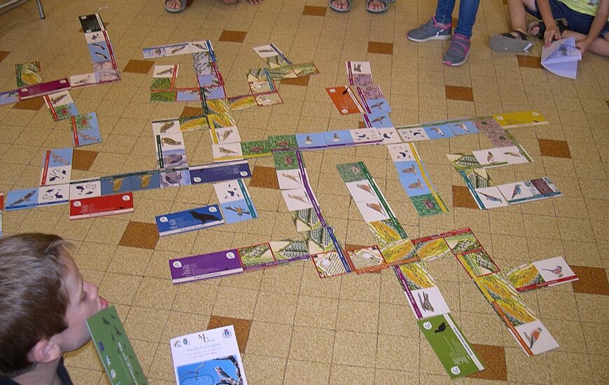 Atelier enfants : Les oiseaux des Alpilles