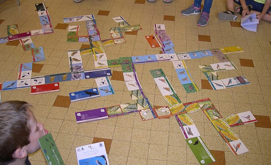Atelier enfants : Les oiseaux des Alpilles