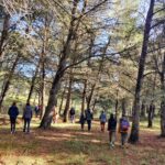 Sortie nature : A la découverte des champignons des Alpilles