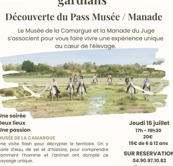 La Camargue des gardians – Découverte du Pass Musée / Manade