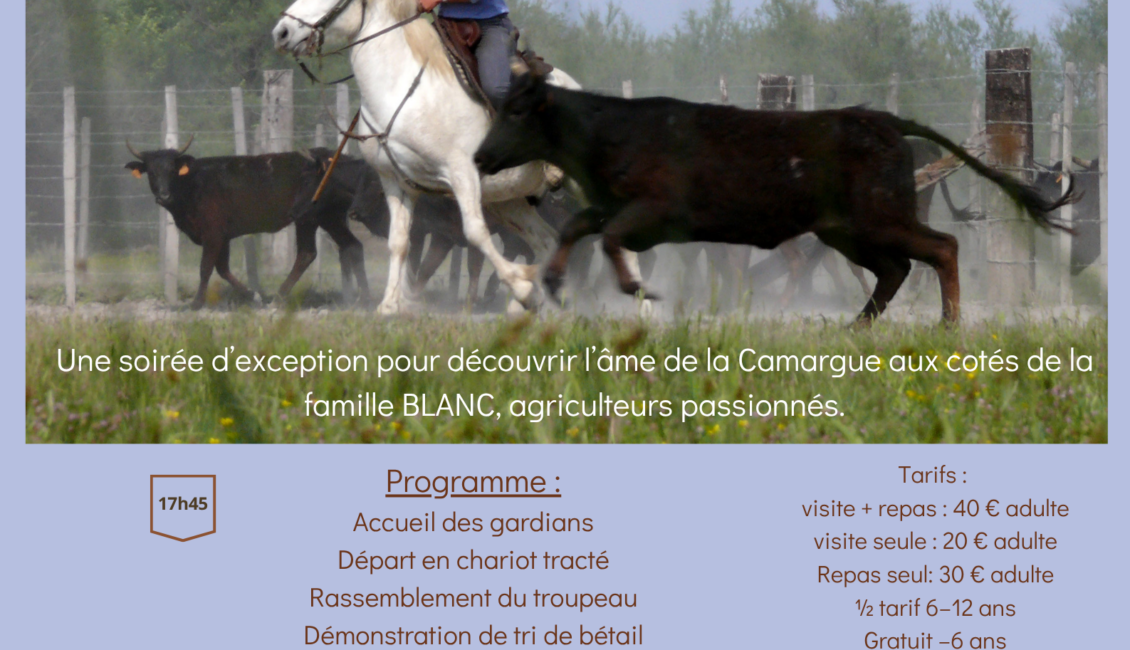 Soirée Camarguaise à la manade Blanc
