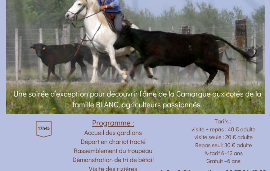 Soirée Camarguaise à la manade Blanc
