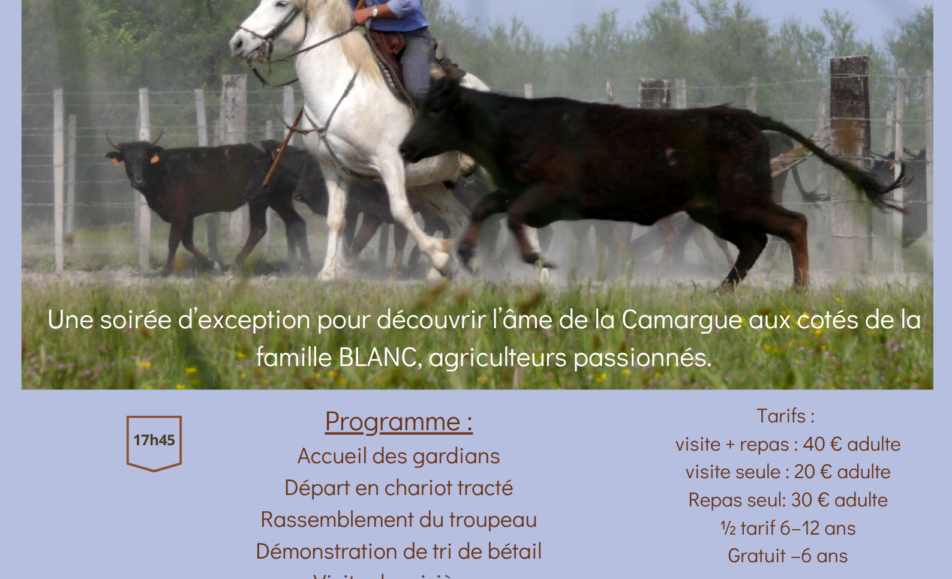 Soirée Camarguaise à la manade Blanc