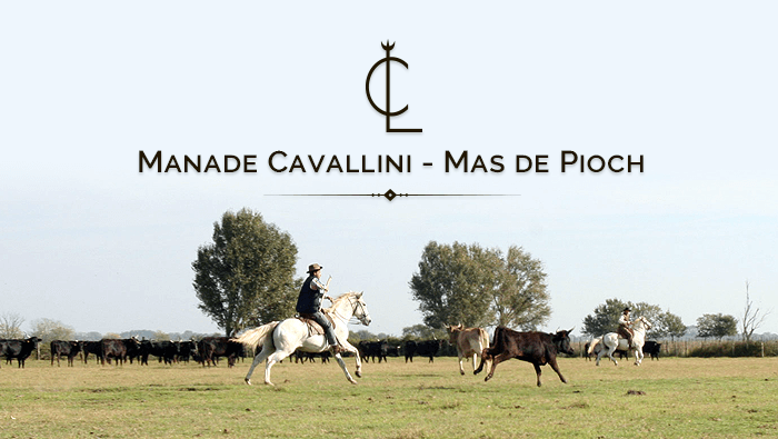 Visite de la Manade Cavallini