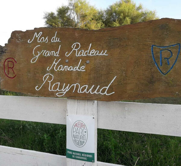 Visites et journées camarguaises et à la  Manade Raynaud