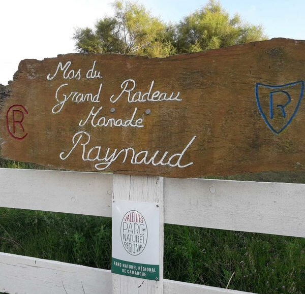 Journées camarguaises à la  Manade Raynaud