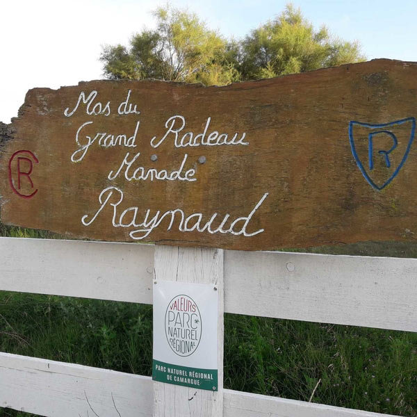Journées camarguaises à la  Manade Raynaud