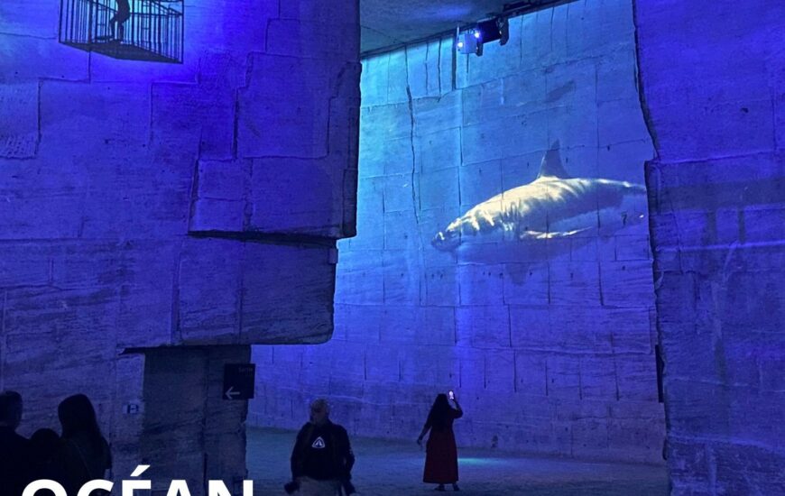 Carrières-des-Lumières : Océan
