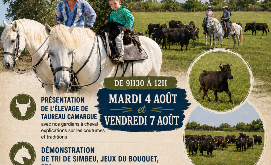 Visite de la Manade Cavallini