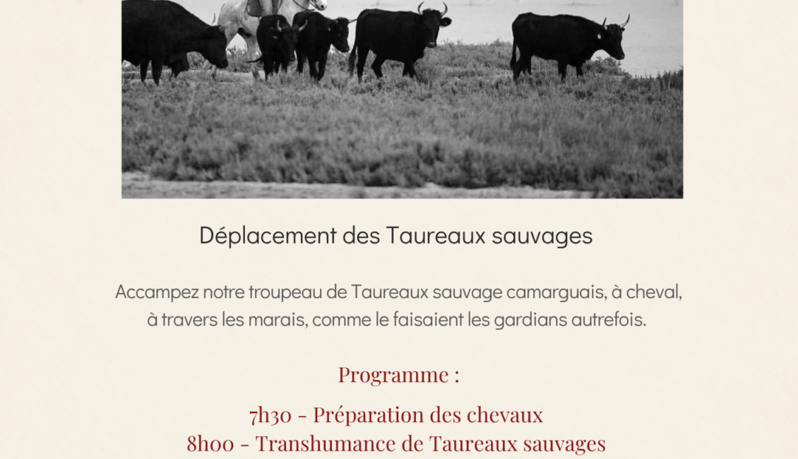 Transhumance sauvage