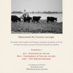 Transhumance sauvage