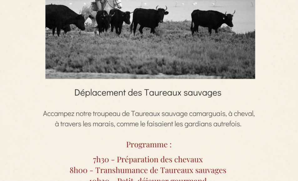 Transhumance sauvage
