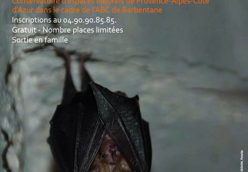 Découvrir Les Chiroptères et Découvrir le Mondes des Libellules