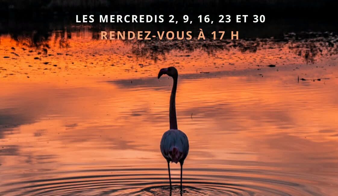 Balade au crépuscule - Edition septembre 2026