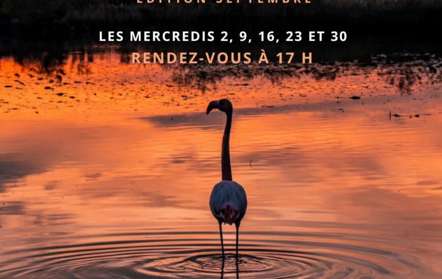 Balade au crépuscule - Edition septembre 2026
