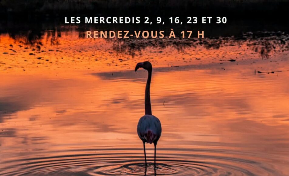 Balade au crépuscule - Edition septembre 2026
