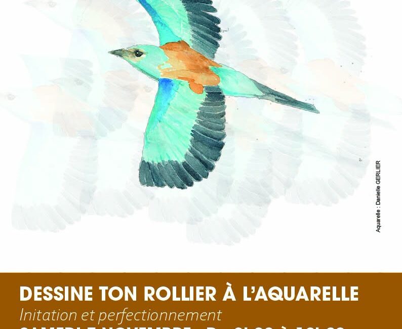 Dessine ton rollier à l'aquarelle