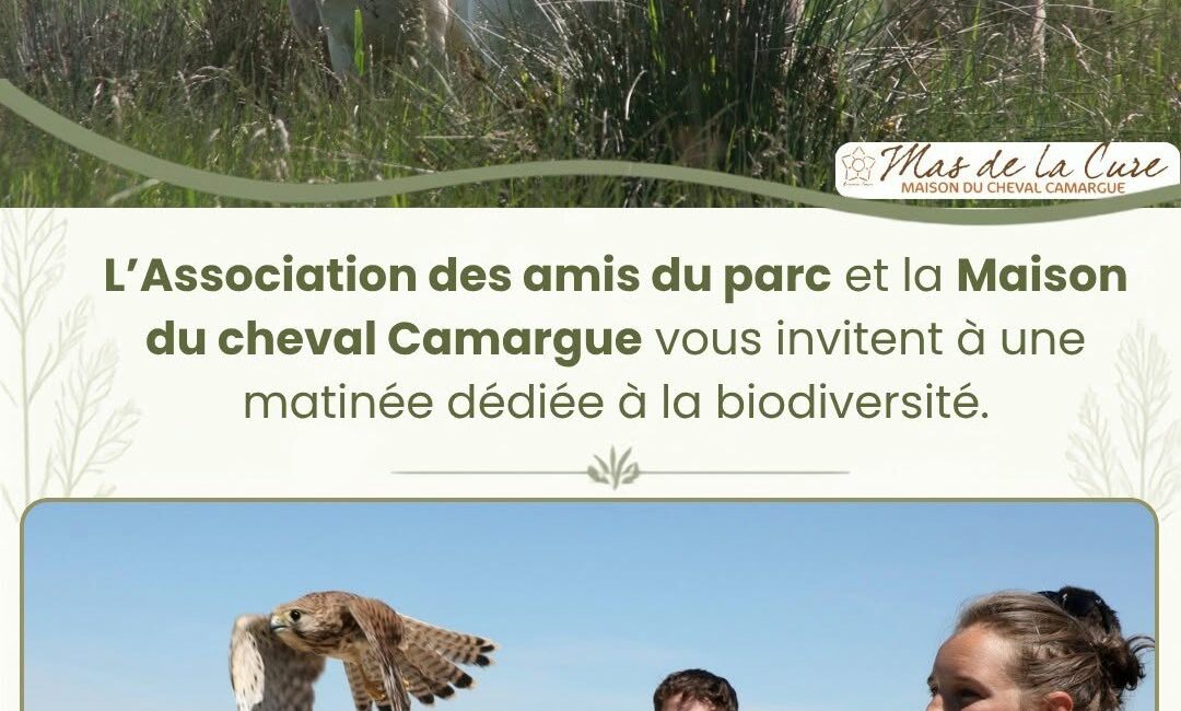 Un instant suspendu en Terre Camargue