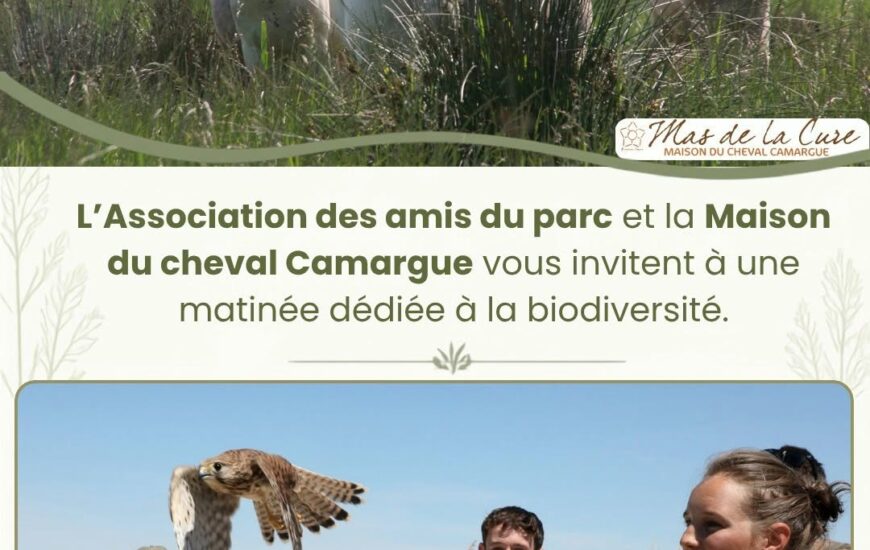 Un instant suspendu en Terre Camargue